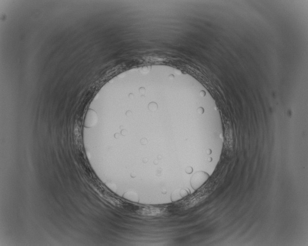 X0000084520418200703091607