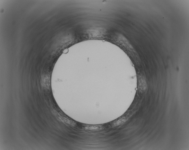 X0000084520419200703091607