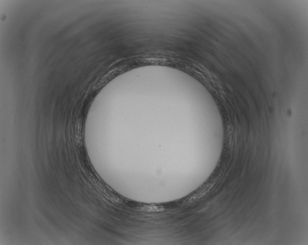 X0000084520421200703091607