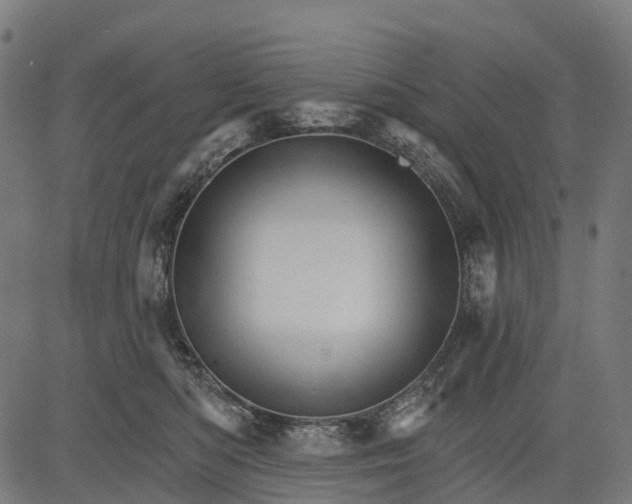 X0000084520422200703091607