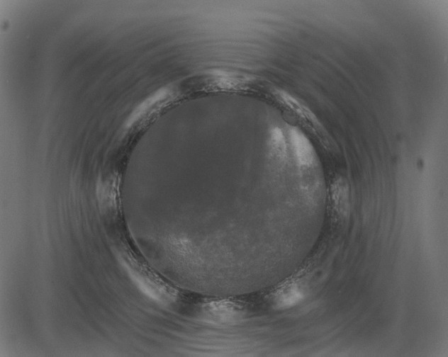 X0000084520423200703091607