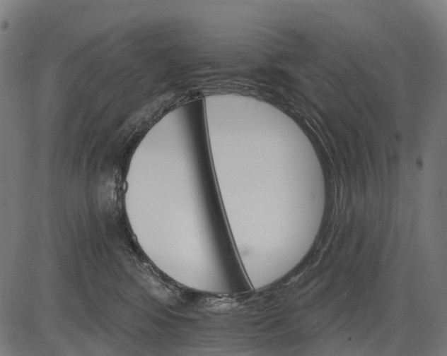 X0000084520424200703091607