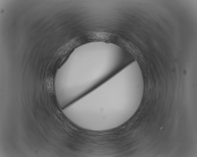 X0000084520425200703091607