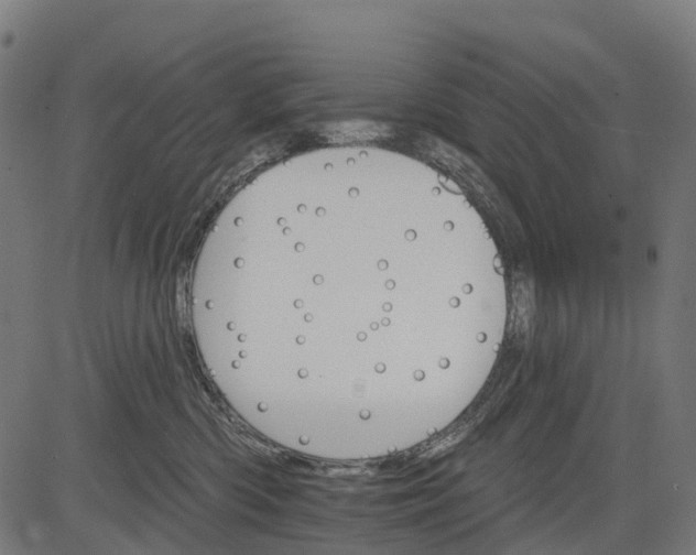 X0000084520426200703091607