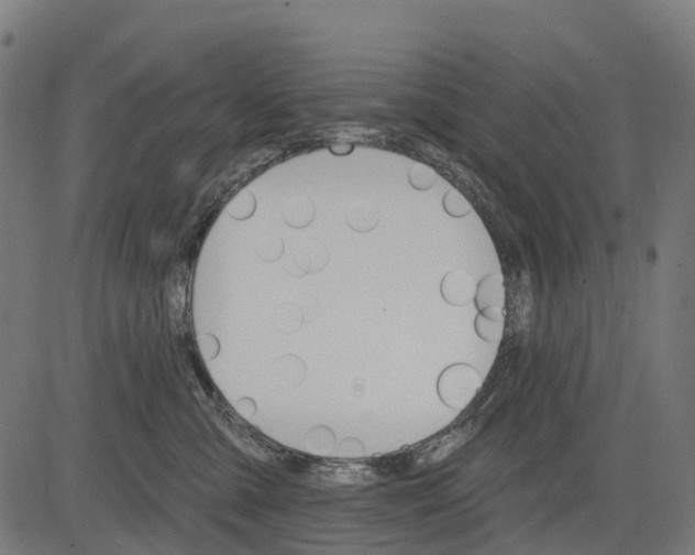 X0000084520427200703091607