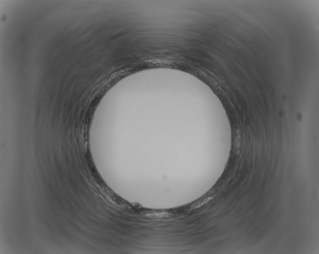 X0000084520428200703091607