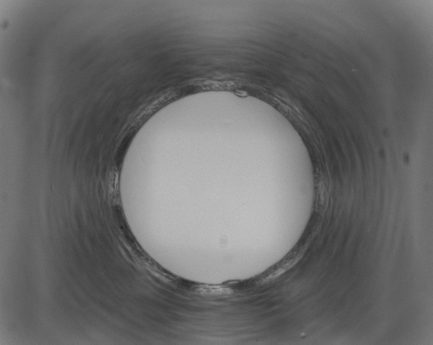 X0000084520429200703091607