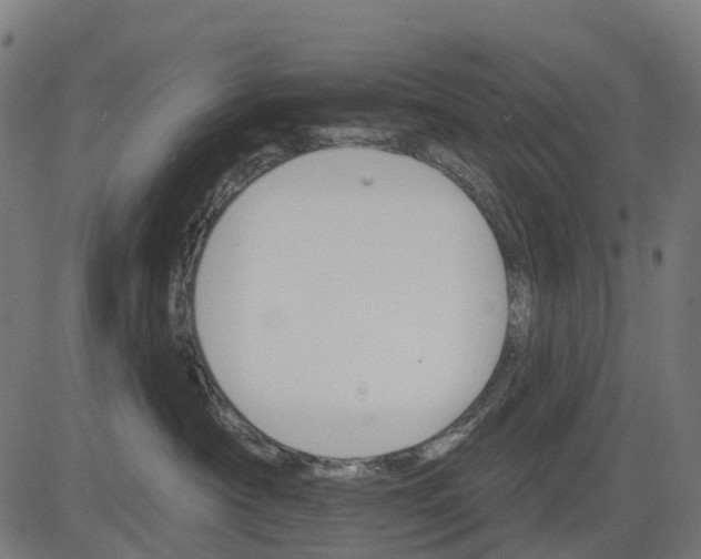 X0000084520430200703091607