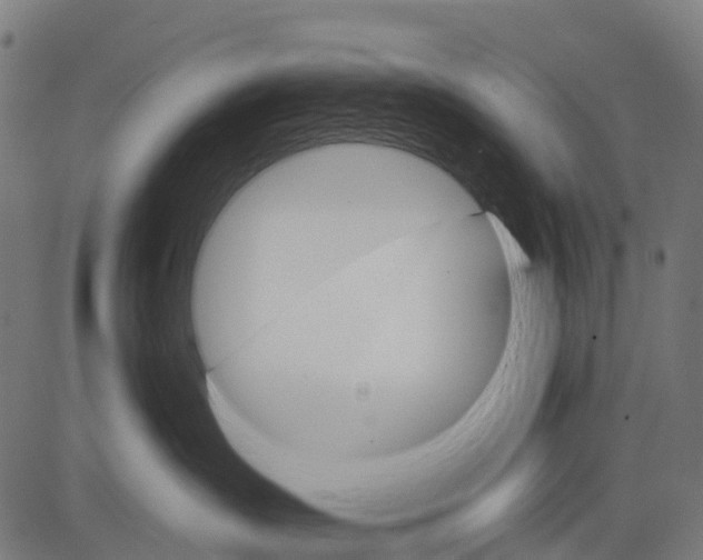 X0000084520431200703091607