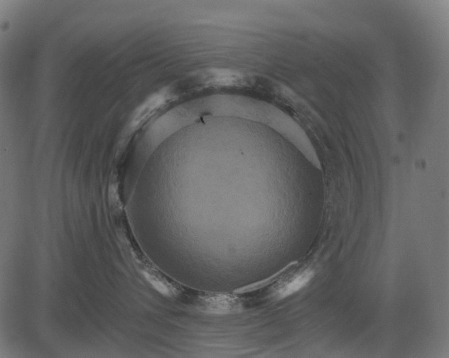 X0000084520432200703091607