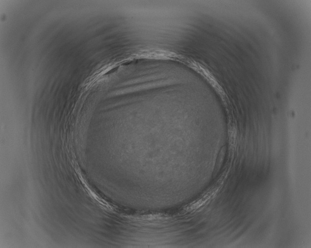 X0000084520433200703091606