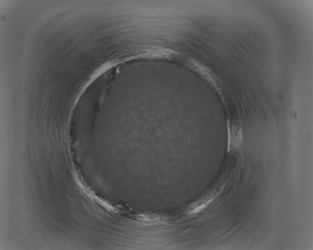 X0000084520435200703091606