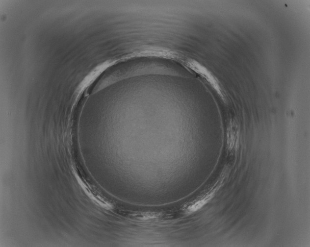 X0000084520436200703091606