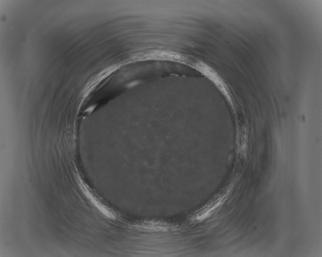 X0000084520437200703091606