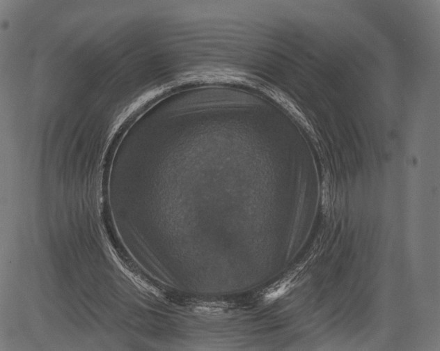 X0000084520438200703091606