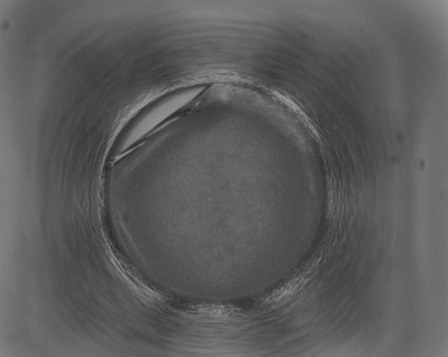 X0000084520439200703091606