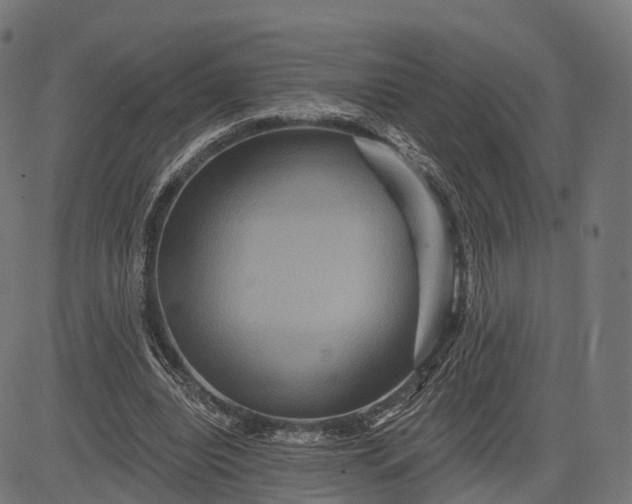 X0000084520440200703091606