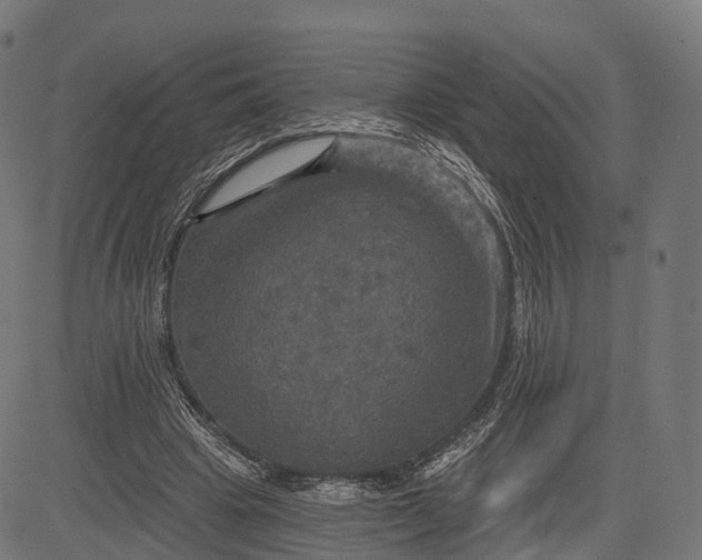 X0000084520441200703091606