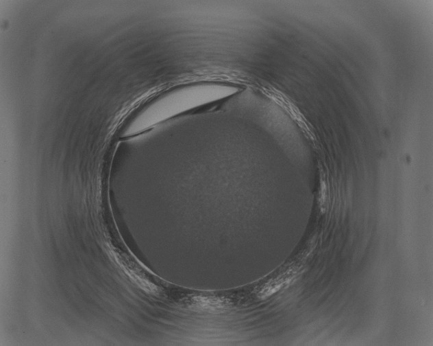 X0000084520442200703091606