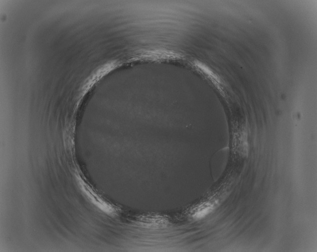 X0000084520443200703091606