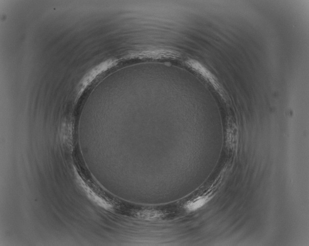 X0000084520444200703091606