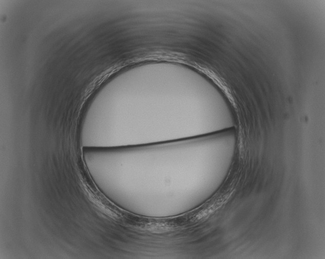 X0000084520445200703091606