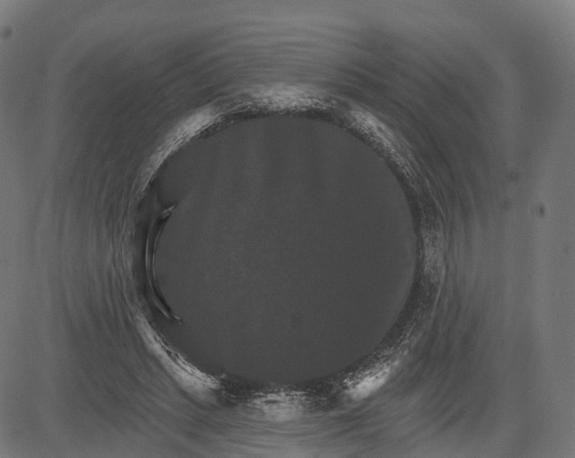 X0000084520447200703091606