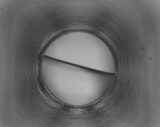 X0000084520448200703091606