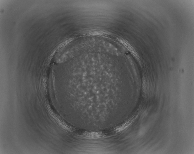 X0000084520449200703091606