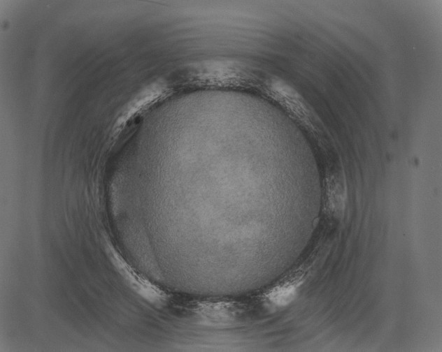 X0000084520450200703091606