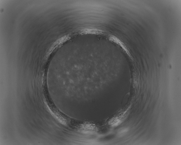 X0000084520451200703091606