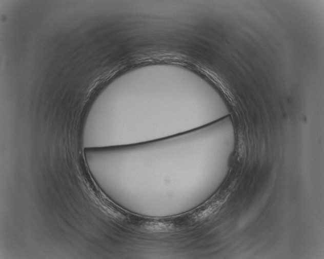 X0000084520453200703091606