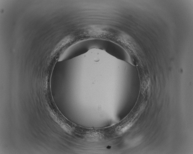 X0000084520454200703091606