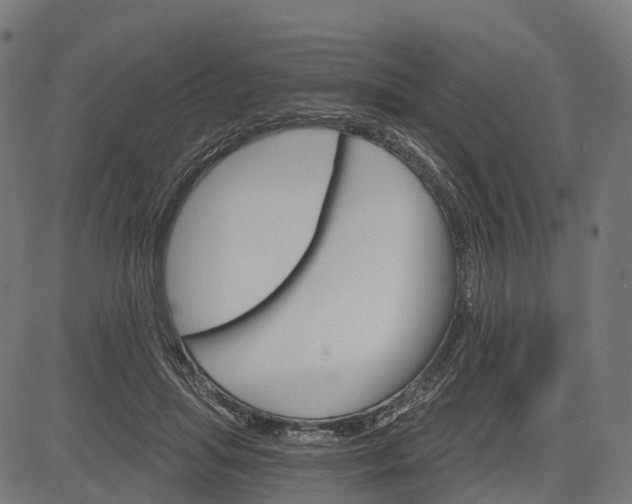 X0000084520455200703091606