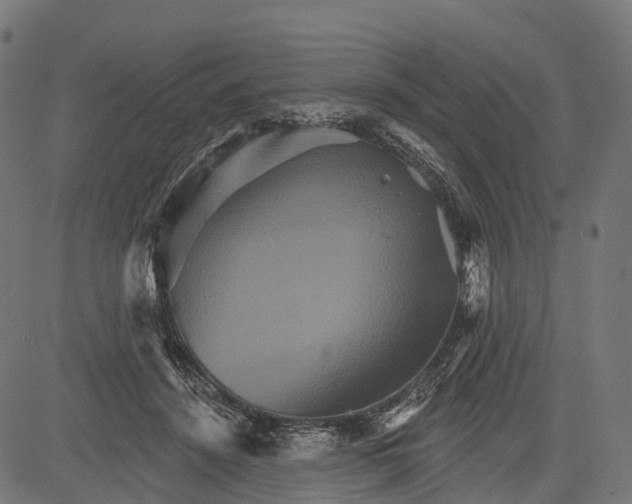 X0000084520456200703091606