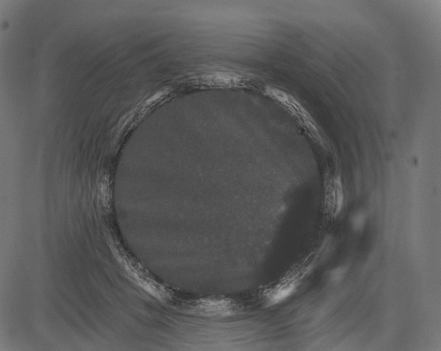 X0000084520457200703091607