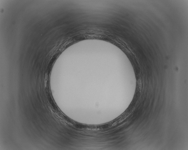 X0000084520458200703091607