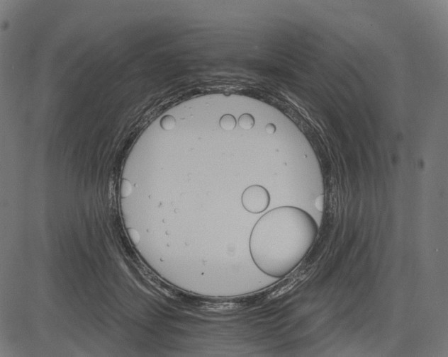 X0000084520459200703091607