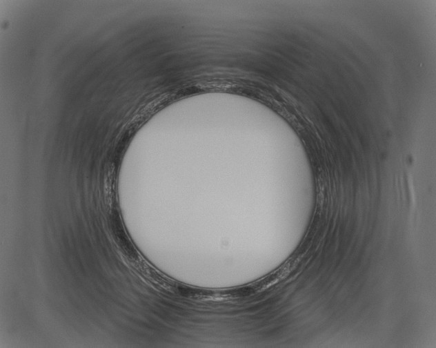 X0000084520460200703091607