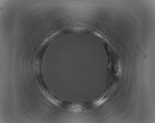 X0000084520462200703091607