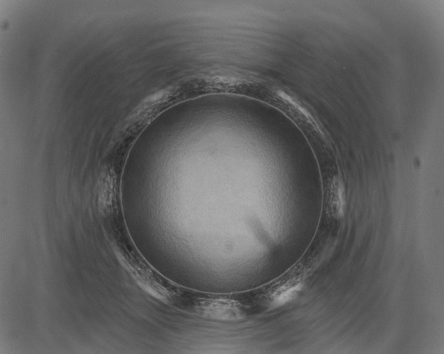 X0000084520463200703091607