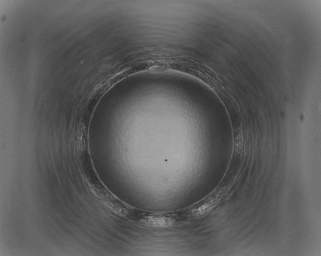 X0000084520464200703091607