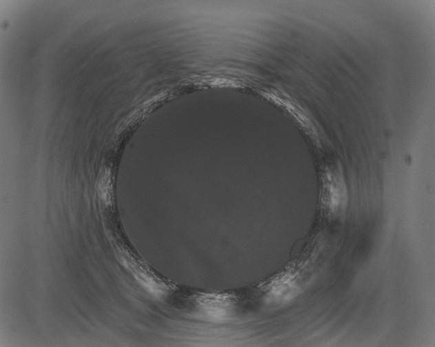 X0000084520465200703091607