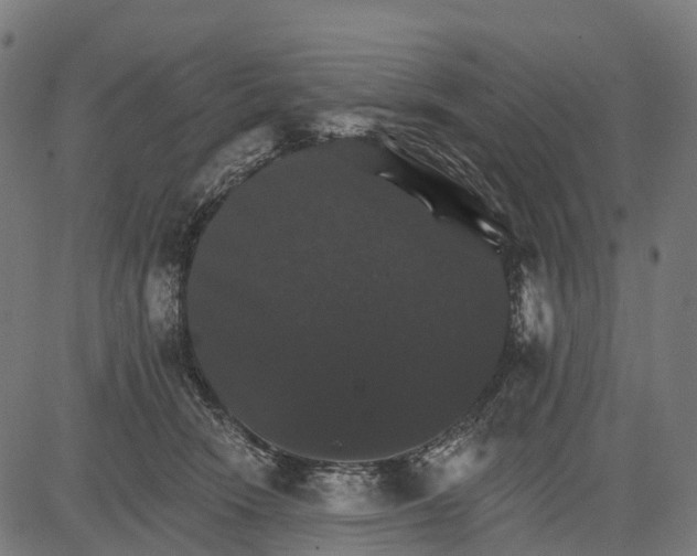 X0000084520466200703091607