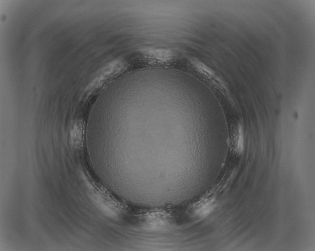 X0000084520468200703091607