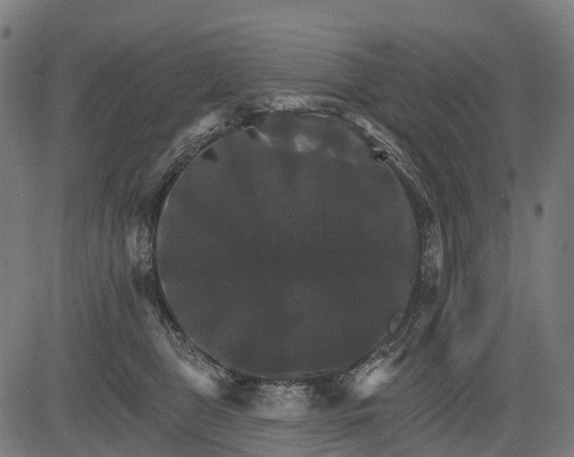 X0000084520469200703091607