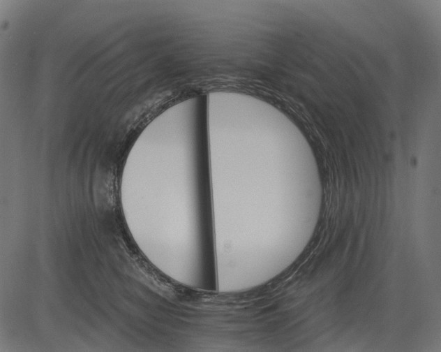 X0000084520470200703091607