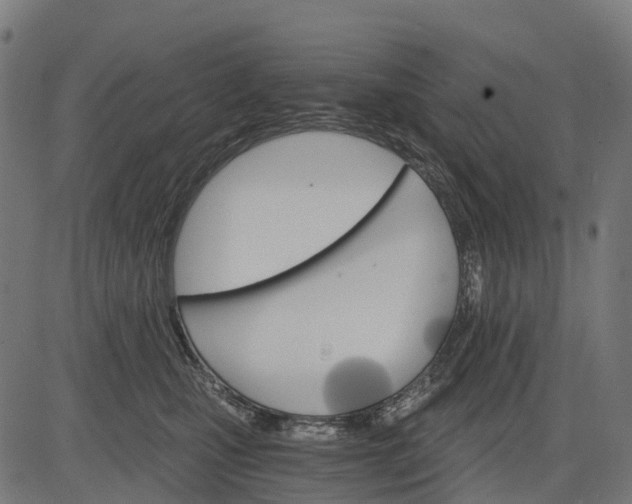 X0000084520471200703091607