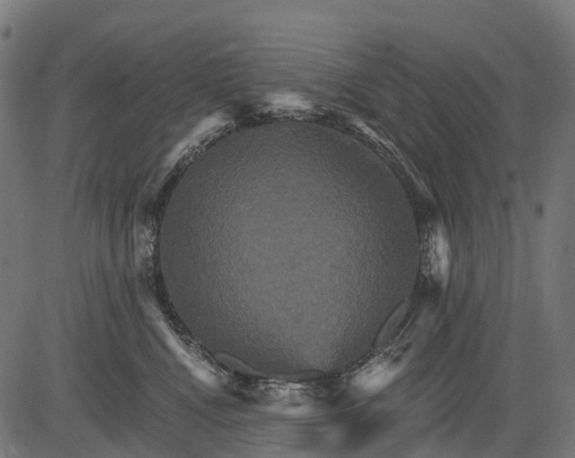 X0000084520472200703091607