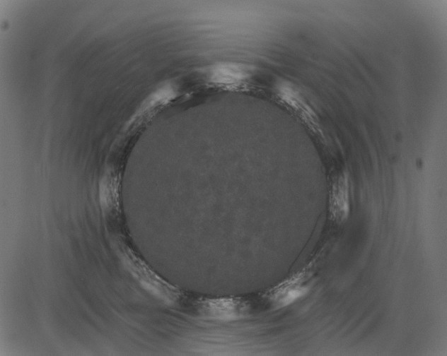 X0000084520473200703091607